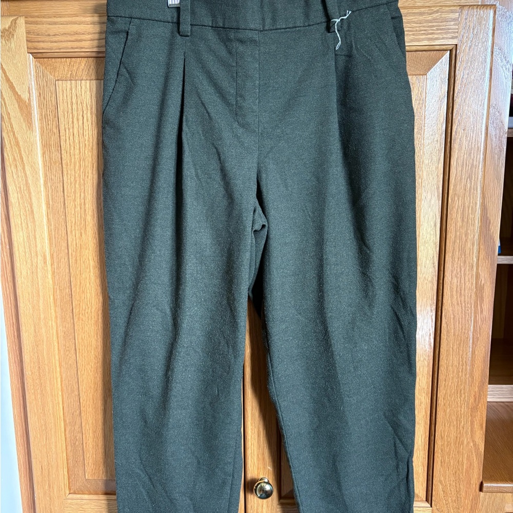 LOFT Green Chinos with Flat Front and Straight Leg